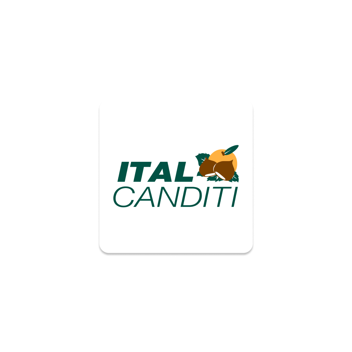 ItalCanditi